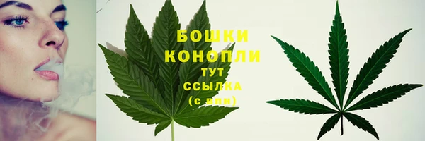 PSILOCYBIN Армянск