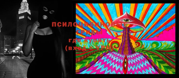 Альфа ПВП Арсеньев