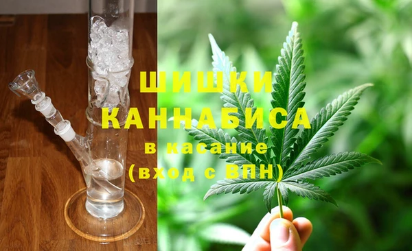 шишки Инсар