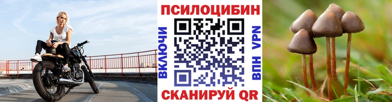 Псилоцибиновые грибы Psilocybe  Семикаракорск 